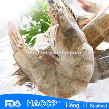 HL002 shrimp exporters fozen shrimp